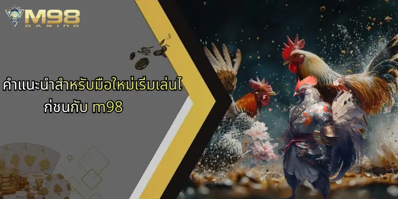 คำแนะนำสำหรับมือใหม่เริ่มเล่นไก่ชนกับ m98
