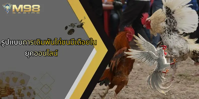 รูปแบบการเดิมพันไก่ชนมีเดือยในยุคออนไลน์