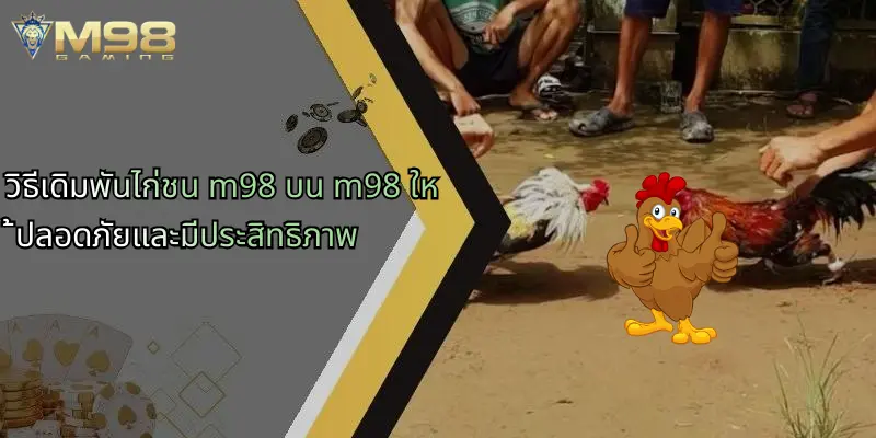 วิธีเดิมพันไก่ชน m98 บน m98 ให้ปลอดภัยและมีประสิทธิภาพ