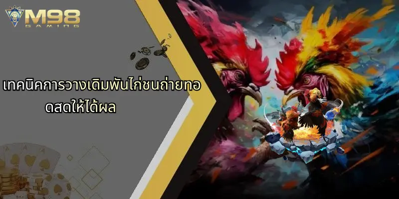 เทคนิคการวางเดิมพันไก่ชนถ่ายทอดสดให้ได้ผล