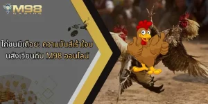 ไก่ชนมีเดือย-ความมันส์เร้าใจบนสังเวียนกับ-m98-ออนไลน์